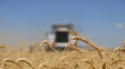 Минсельхоз России не получал сведений о прекращении Viterra экспорта российского зерна