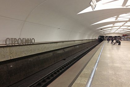 Пассажир упал на пути на Арбатско-Покровской линии метро Москвы