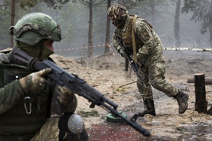 Шведские инструкторы начали учить ВСУ вести бои в лесах