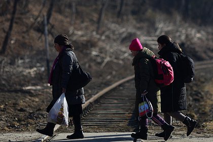 Польские пограничники отказались пускать в страну направлявшуюся домой россиянку