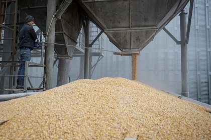 Еще одна страна выразила готовность к работе по вывозу украинского зерна