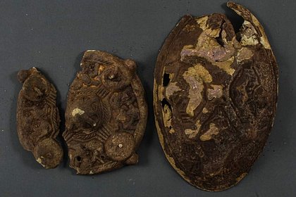 Семья обнаружила уникальное сокровище викингов благодаря потерянной сережке