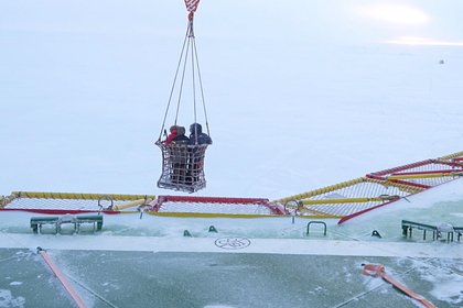 Жизнь год дрейфующих во льдах российских ученых сняли на видео