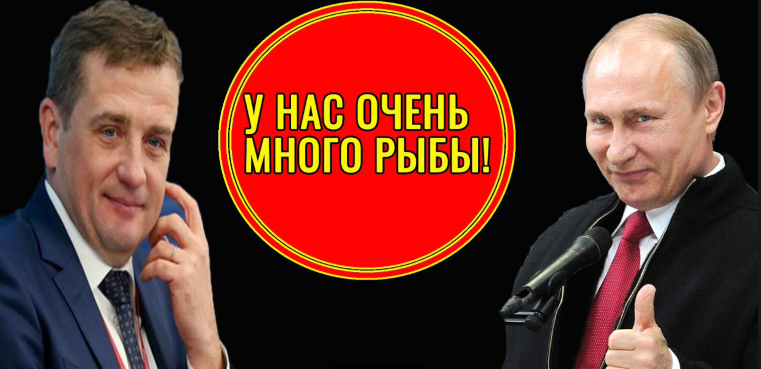 Чиновники отчитались о рекордном улове рыбы в прошлом году. А почему тогда цены на рыбу не падают? Чиновники отчитались о рекордном улове рыбы в прошлом году. А почему тогда цены на рыбу не падают?