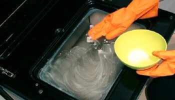 Узнала, что при помощи 1 таблетки для посудомоечных машин можно очистить духовку до блеска (показываю, что получилось)
