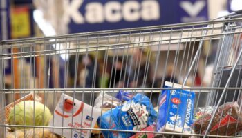 Россиянам будут раздавать продукты бесплатно: правительство дало добро