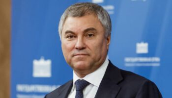 Володин предложил отказывать в ВНЖ медикам и учителям